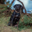 Melanie, Markus & Jinx | Borgholzhausen, Germany