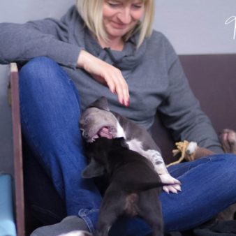 unbenannt-1-von-1-65 unbenannt-1-von-1-65