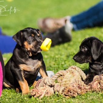 unbenannt-1-von-1-66-3 unbenannt-1-von-1-66-3