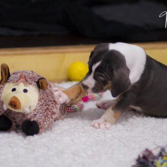 unbenannt-1-von-1-67 unbenannt-1-von-1-67