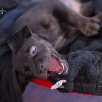 unbenannt-1-von-1-74 unbenannt-1-von-1-74