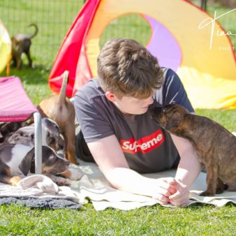 unbenannt-1-von-1-76-2 unbenannt-1-von-1-76-2