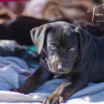 unbenannt-1-von-1-77-2 unbenannt-1-von-1-77-2