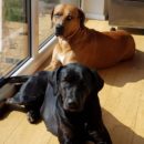 Sandra, Maik & Lennox, Ella | Imsbach, Germany