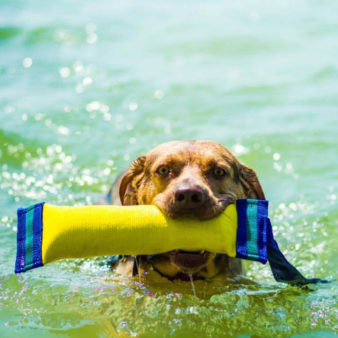 HancockWasser HancockWasser