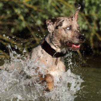 Lennoxaboutus Lennox