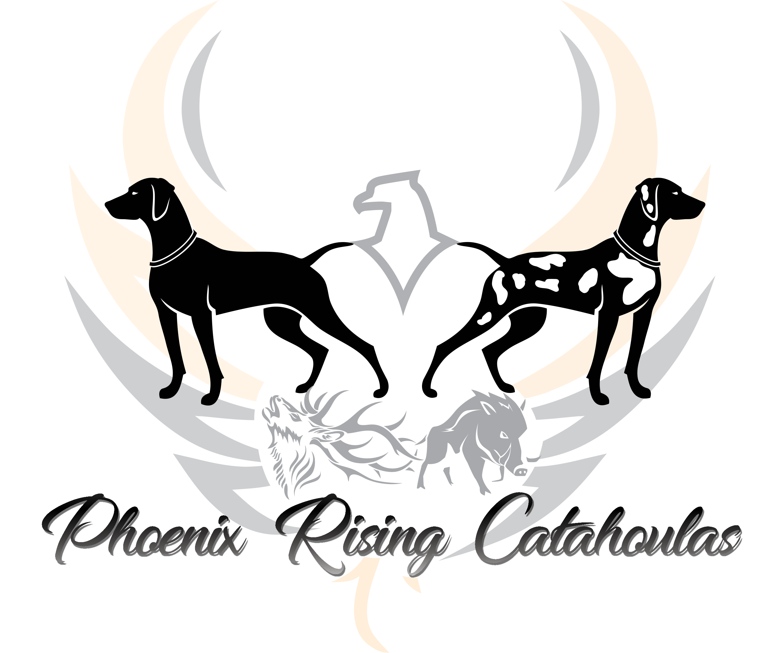 Phoenix Rising Catahoulas