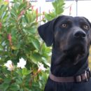 Alexandra und Olaf & Bonny | Nordrhein-Westfalen, Germany