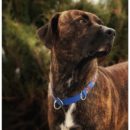 Klaudia & Moon | Poland