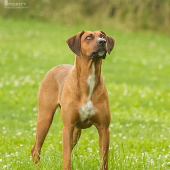 26220256_1224832327650885_162963998842492961_n