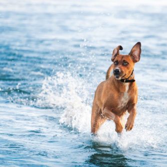 41672025_1423464764454306_6579945242420576256_o