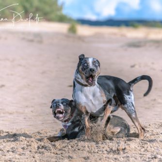 44934015_1455546511246131_1499312657138712576_o