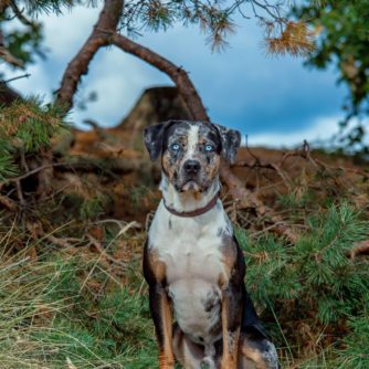 45137707_1458217154312400_4979871222293594112_o