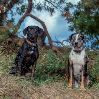 45285163_1458240804310035_3618013796552933376_o