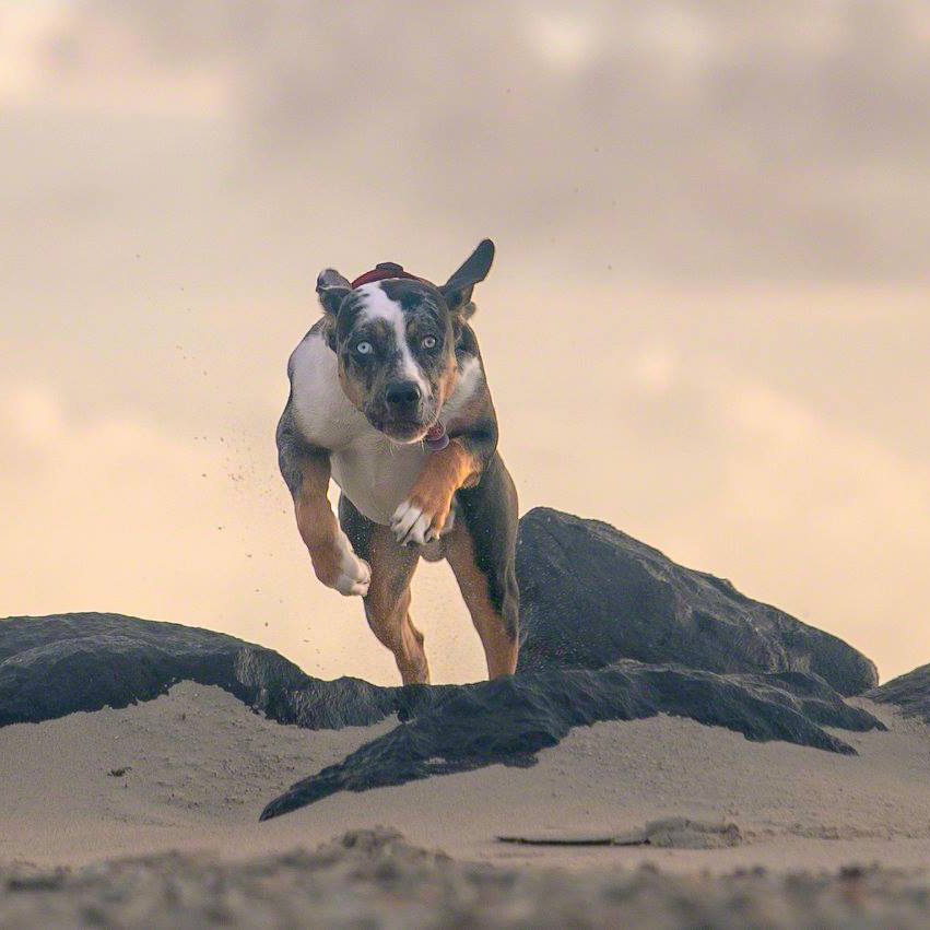 41633892_1422744297859686_1950907710736171008_o-1