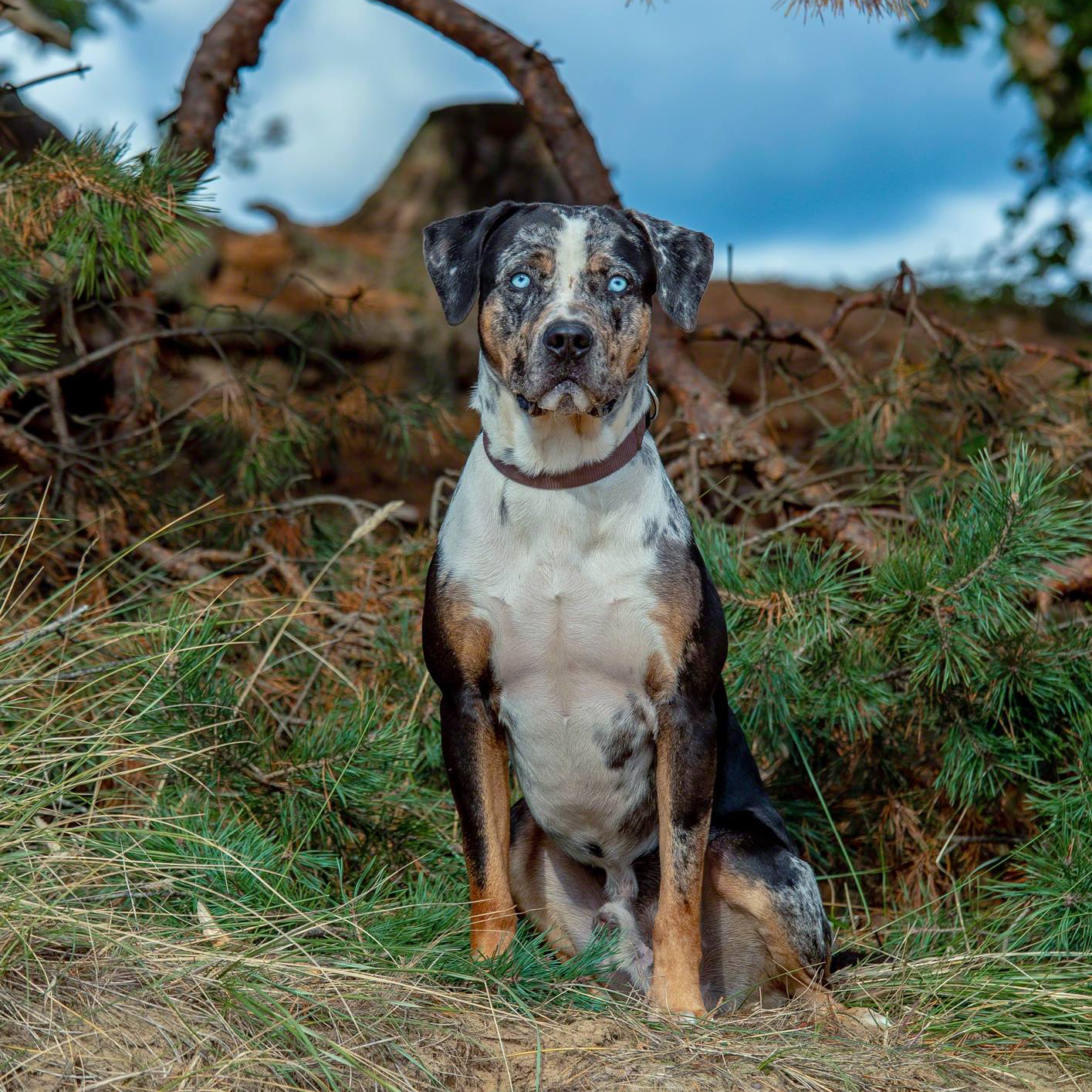 45137707_1458217154312400_4979871222293594112_o-1