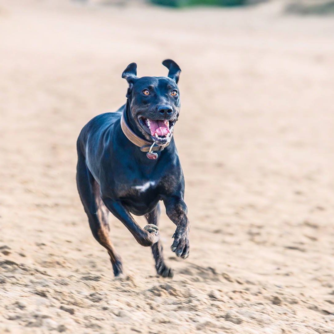 45163815_1457256814408434_7235233509487411200_o-1