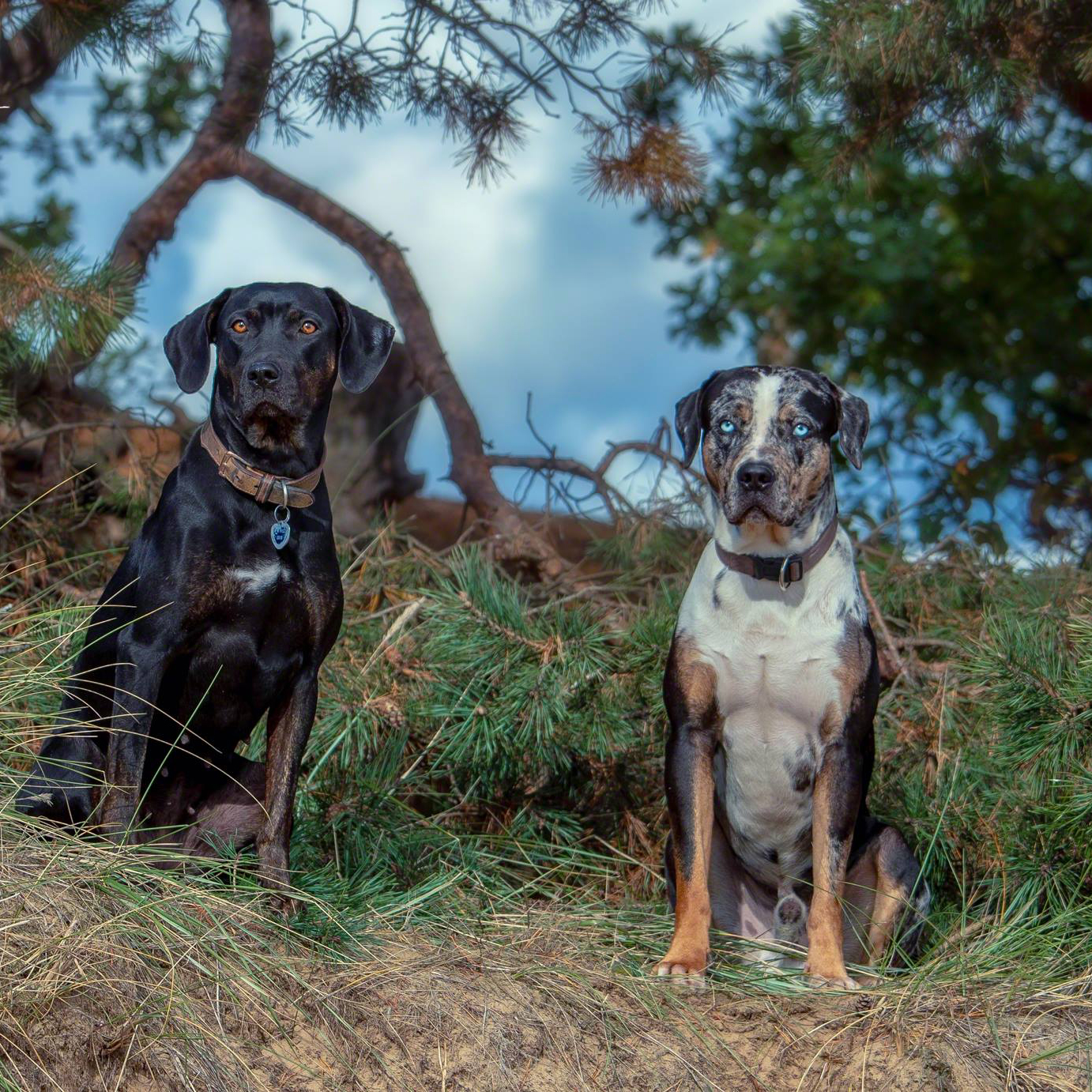 45285163_1458240804310035_3618013796552933376_o-1