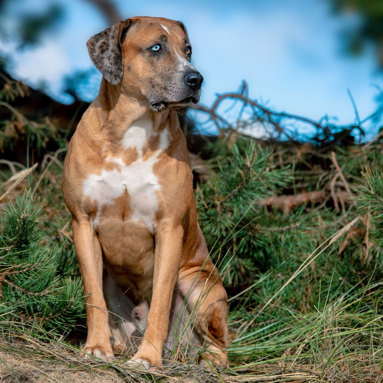 45335085_1460378797429569_4418518790547963904_o-1