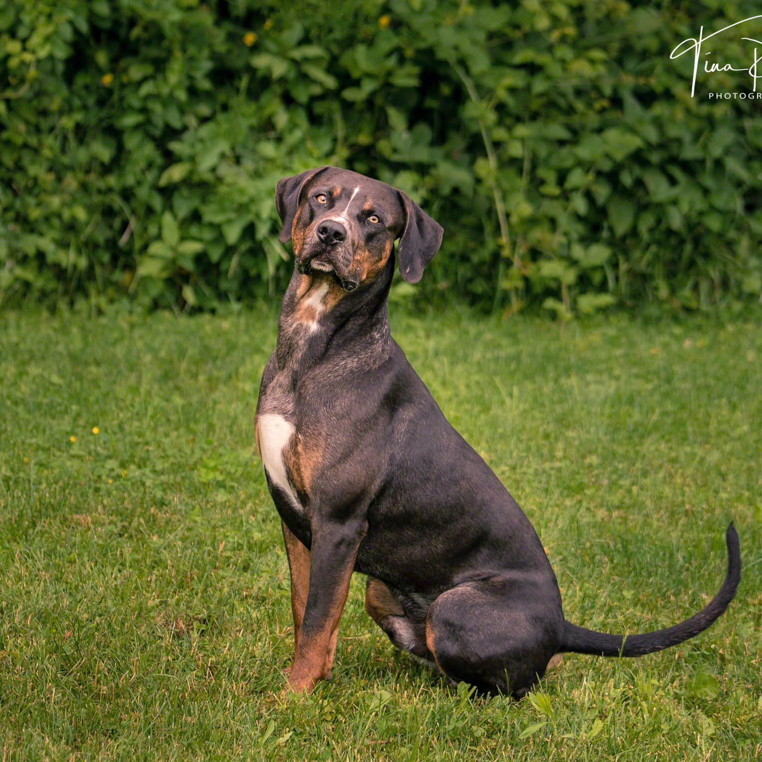 64320900_1644085759058871_4532986154386980864_o-1