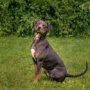Barbara, Lisa & Ruger | Thüringen, Deutschland