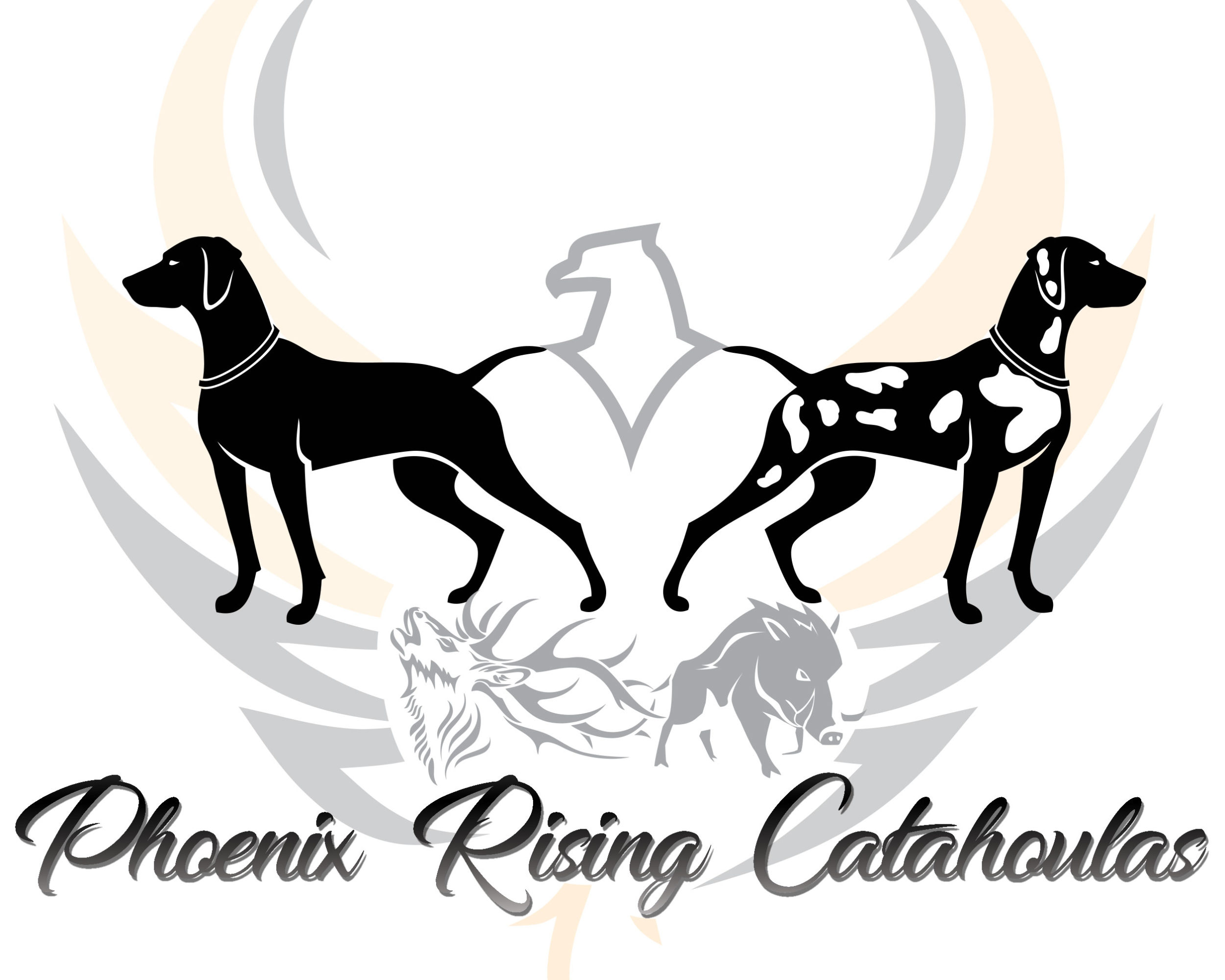 Phoenix-Rising-CatahoulasNewLogoTransparent